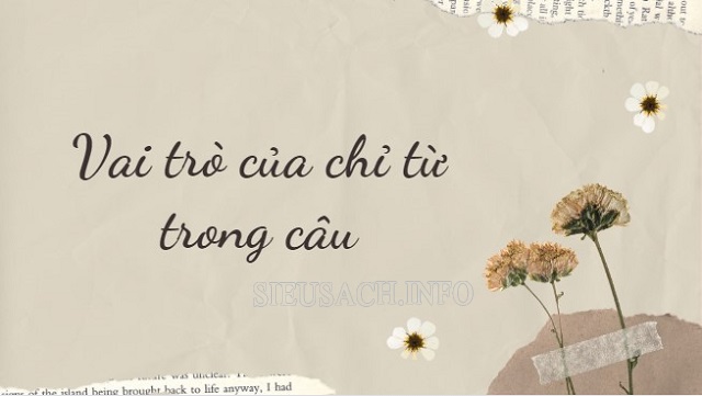 Chỉ từ có vai trò quan trọng nhằm nhấn mạnh, rõ nghĩa trong câu