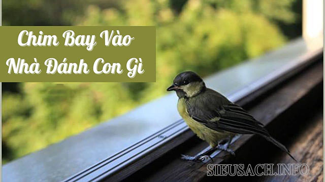 Con số may mắn khi chim bay vào nhà