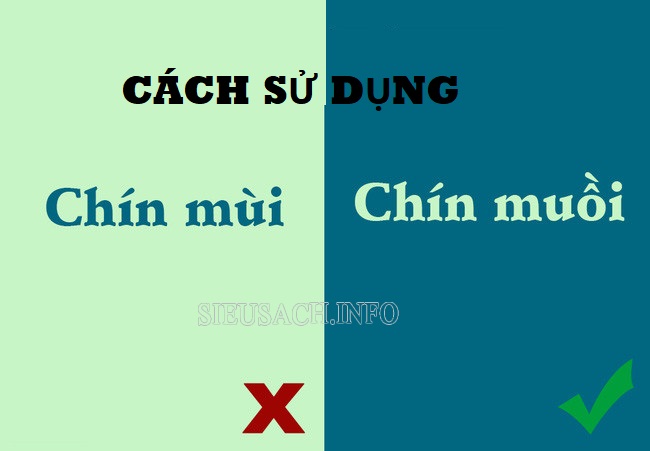 Cách sử dụng chín muồi và chín mùi sao cho đúng