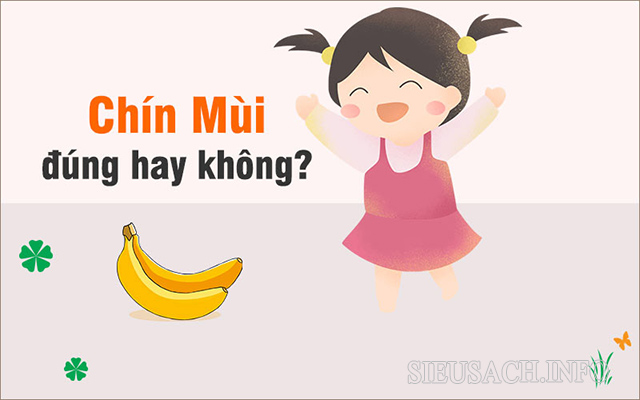 Chín mùi là từ sử dụng sai chính tả