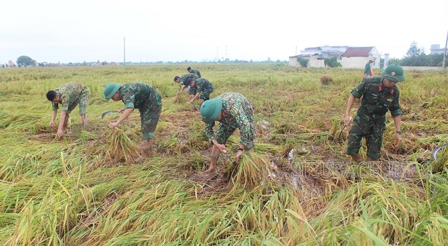 Chính sách ngụ binh ư nông hiện nay