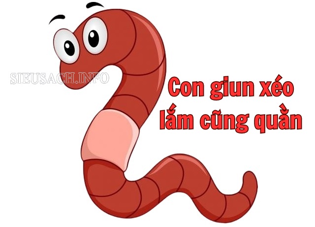 Câu tục ngữ con giun xéo lắm cũng quằn mang nhiều ý nghĩa trong cuộc sống