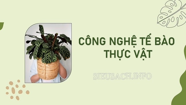 Công nghệ tế bào thực vật