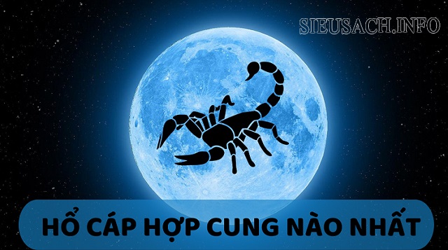 Cung Hổ Cáp hợp với cung hoàng đạo nào nhất trong 12 cung hoàng đạo