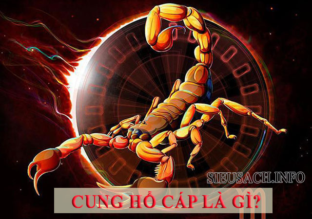 Cung Hổ Cáp là cung thứ 8 trong 12 cung hoàng đạo