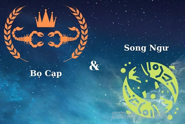 Nam Bọ Cạp hợp với nữ Song Ngư