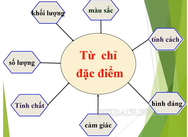 Các từ được dùng để chỉ đặc điểm của người, sự vật