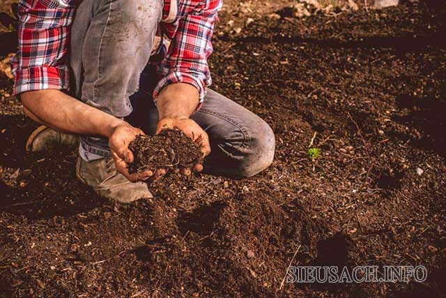 Các thành phần chính cấu tạo nên đất mùn gồm axit humic, Axit Fulvic và humin