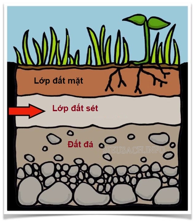 Lớp đất sét