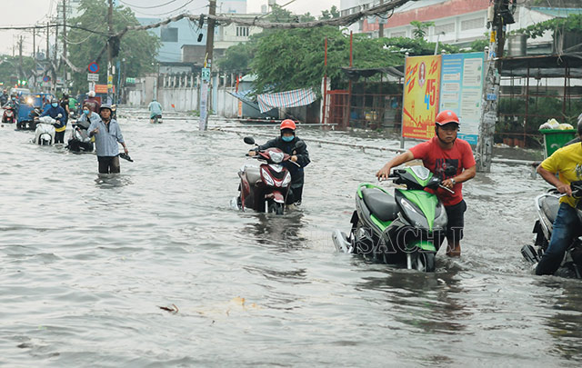 Những chiếc xe "chết máy"