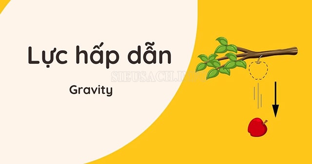 Lực hấp dẫn là gì?