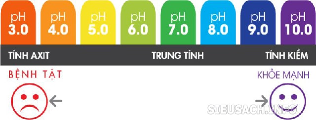 Độ pH giúp phát hiện cơ thể đang khỏe hay yếu