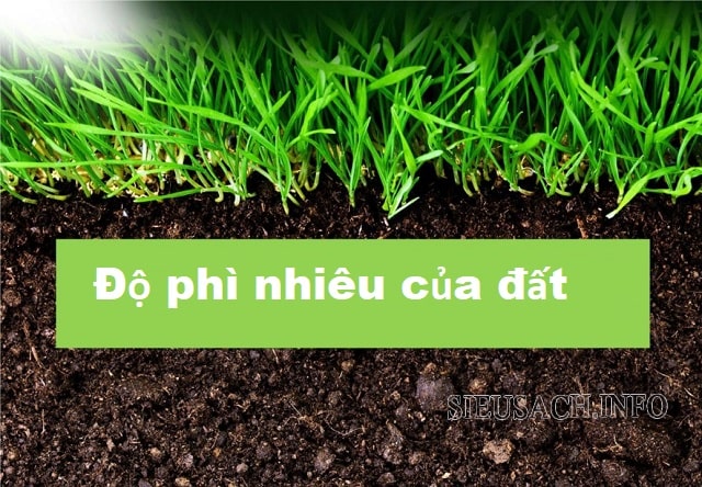 Độ phì nhiêu của đất giữ vai trò không thể thiếu trong sản xuất nông nghiệp