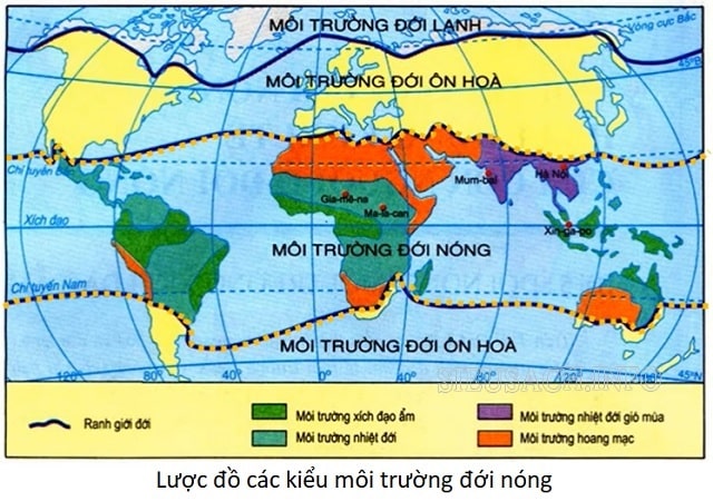 Các kiểu môi trường đới nóng