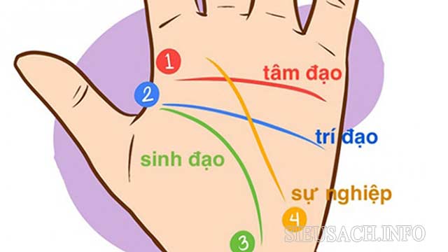 4 đường chỉ tay cơ bản ở trong lòng bàn tay