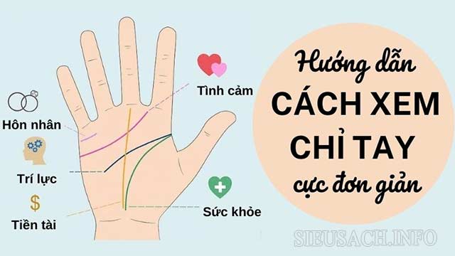 Đường chỉ tay cho biết vận mệnh tương lai của một người