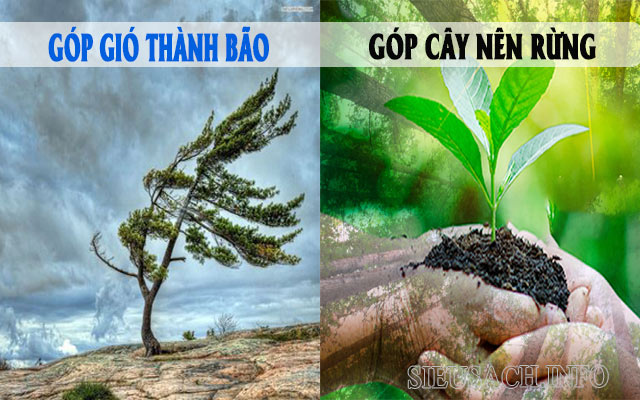 Hình ảnh minh họa góp gió thành bão góp cây nên rừng