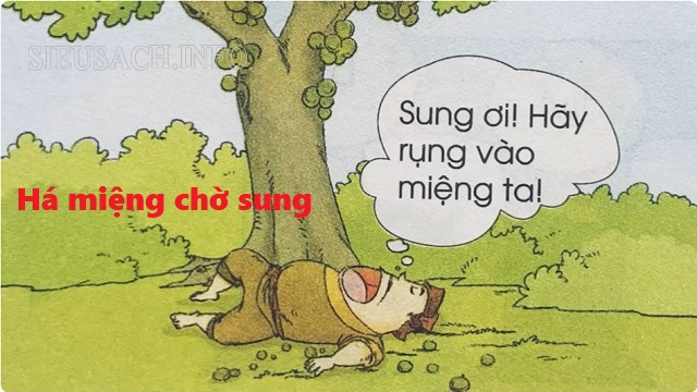 Há miệng chờ sung dùng để châm biếm những người lười nhác