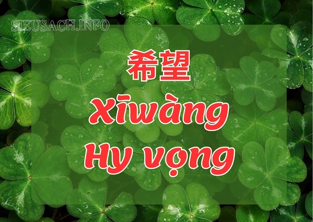 Hy vọng trong tiếng Trung là 希望