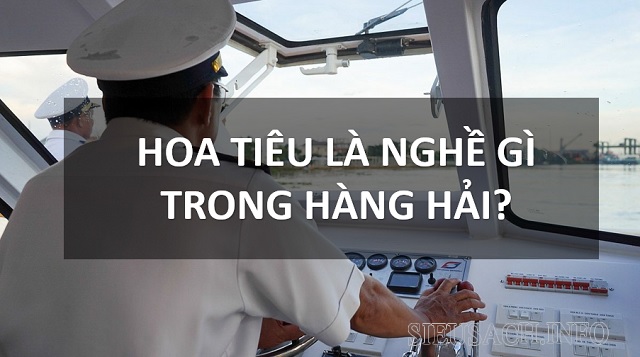 Hoa tiêu trong Hàng Hải là người cố vấn hướng di chuyển cho thuyền trưởng