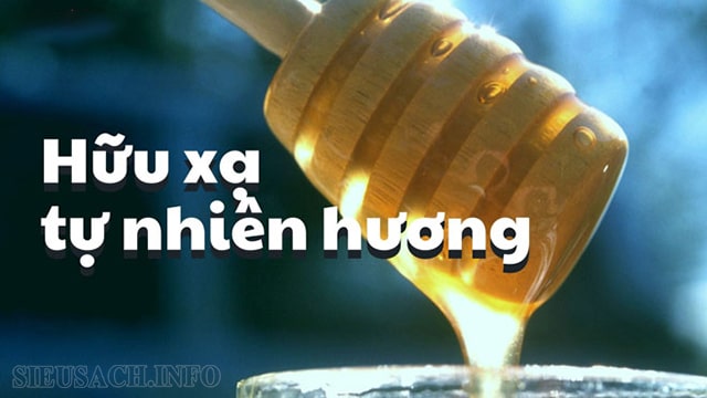 Hữu xạ tự nhiên hương có nghĩa là chỉ cần có chất xạ thì sẽ tự tỏa ra hương thơm