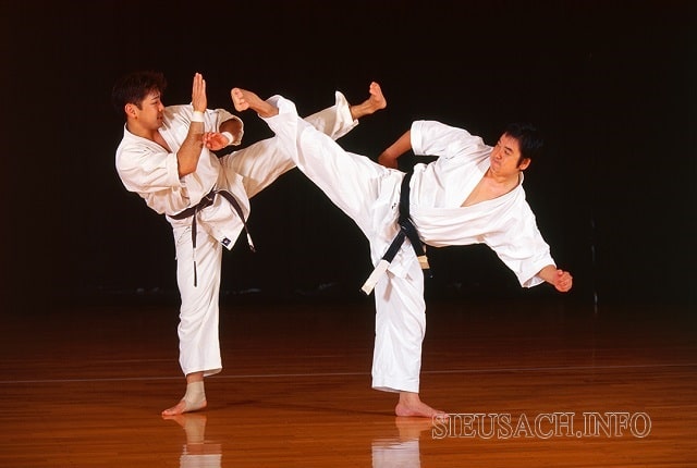 Võ Karate được rất nhiều người yêu thích