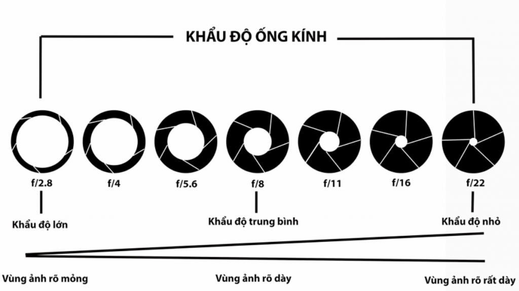 Khẩu độ máy ảnh còn được gọi là "màng chắn" hoặc là "màng chắn sáng"