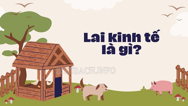 Lai kinh tế được thực hiện giữa 2 cá thể đực cái tạo ra con lai