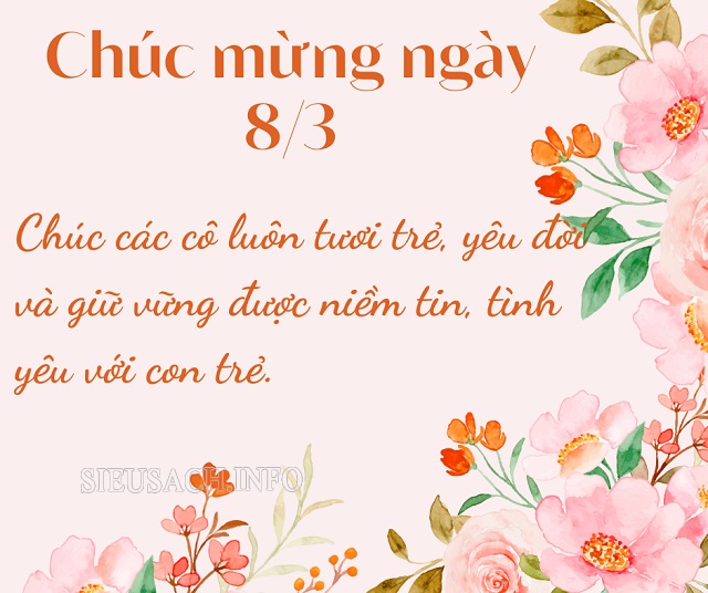 Lời chúc 8/3 dành tặng cho cô giáo chân thành và ý nghĩa