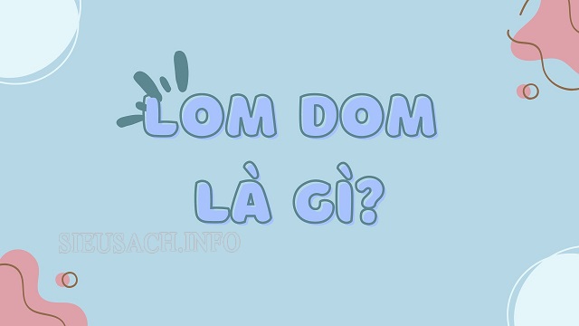 Lom dom là từ để chỉ tính cách của một người