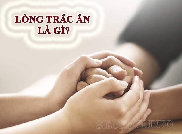 long-trac-an-la-gi