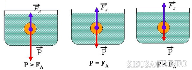 Lực đẩy acsimet và sự nổi của vật