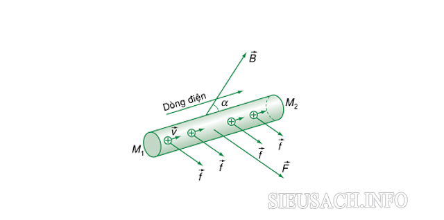 Lực tác động từ trường có thành phần là lực Lorenxơ