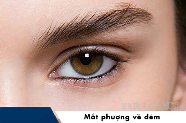 Mắt phượng hoàng về đêm