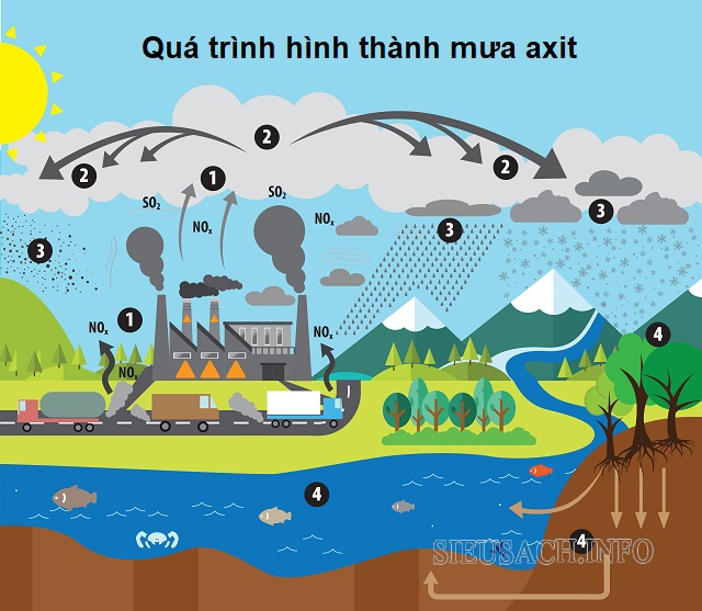 Quá trình hình thành hiện tượng mưa axit