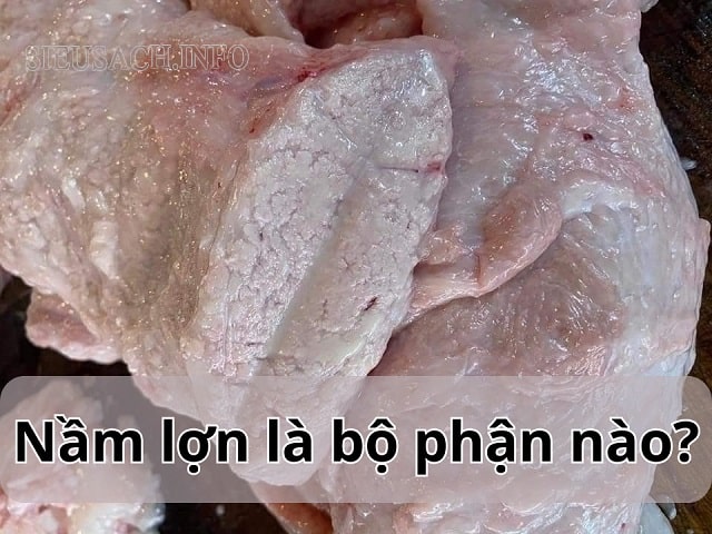 Nầm lợn là phần thịt ở vú của con lợn cái