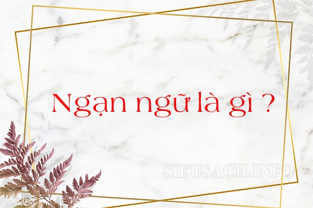 Ngạn ngữ là những câu nói ngắn gọn, có giá trị và ý nghĩa sâu sắc