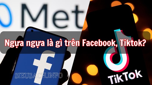 Ngựa ngựa trên Facebook, Tiktok