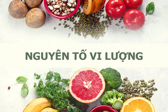 Nguyên tố vi lượng là những cần thiết cho cơ thể con người