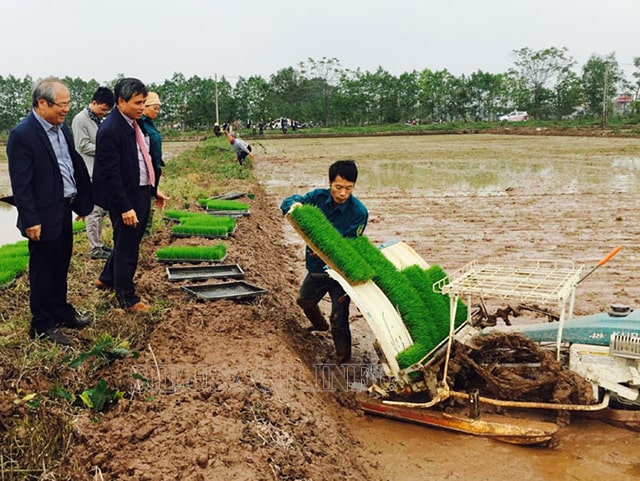 Ứng dụng khoa học kỹ thuật vào canh tác lúa nước để tăng năng suất