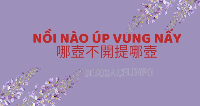 Nồi nào úp vung nấy tiếng Trung là gì?