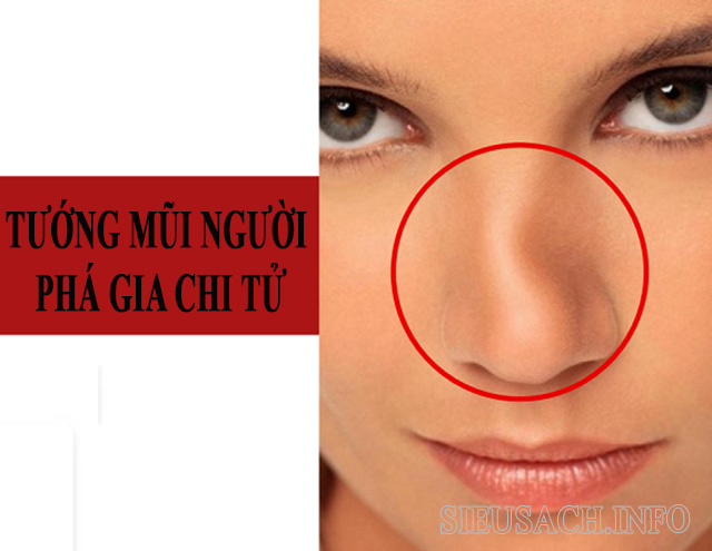 Tướng mũi của người có vận mệnh xấu, nghèo khổ cơ cực      