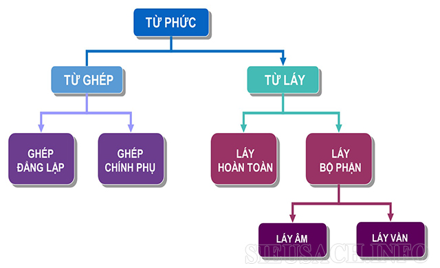 phan-biet-tu-lep-tu-lay