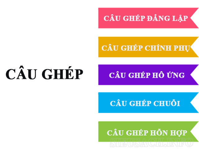 phan-loai-cau-ghep