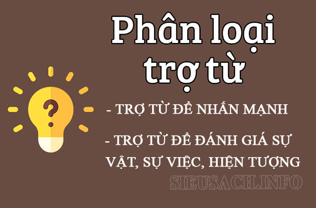 phan-loai-tro-tu-la-gi