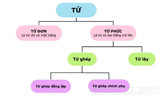 phan-loai-tu-phuc