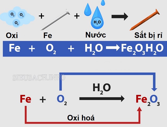 Quá trình sắt bị rỉ sét