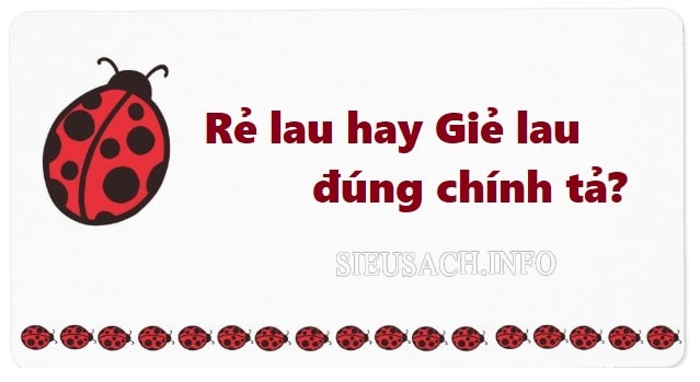 Rẻ lau hay giẻ lau là những cụm từ có nhiều người nhầm lẫn