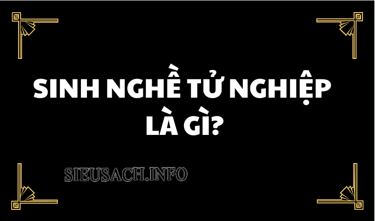 Sinh nghề tử nghiệp nghĩa là sống bằng nghề gì, chết bằng nghề đấy