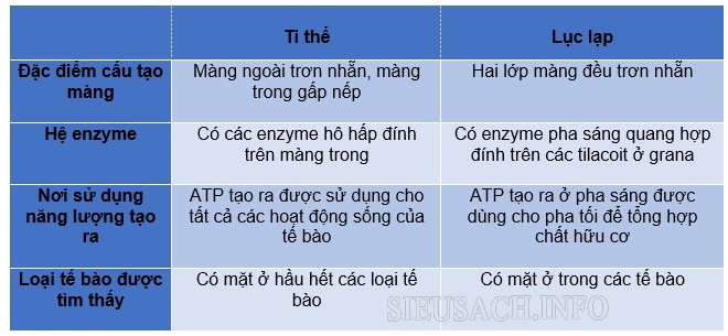 Bảng so sánh sự khác biệt giữa ti thể và lục lạp